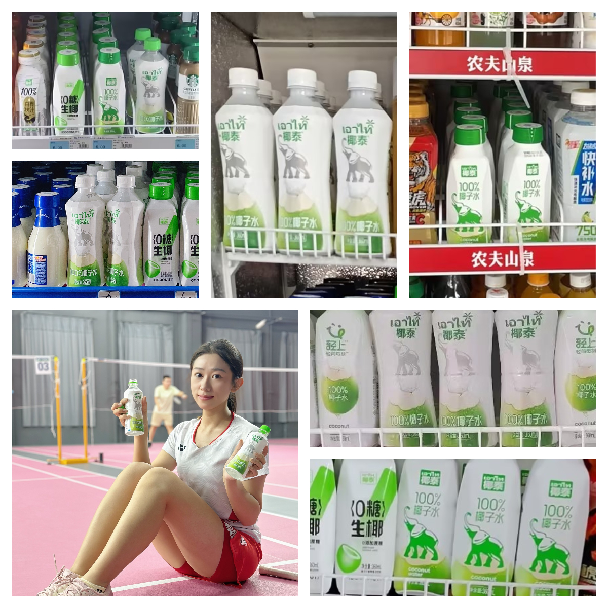 续开卷椰泰这几款爆品经销商值得入手CQ9电子网站今夏“冰柜大战”继(图4)