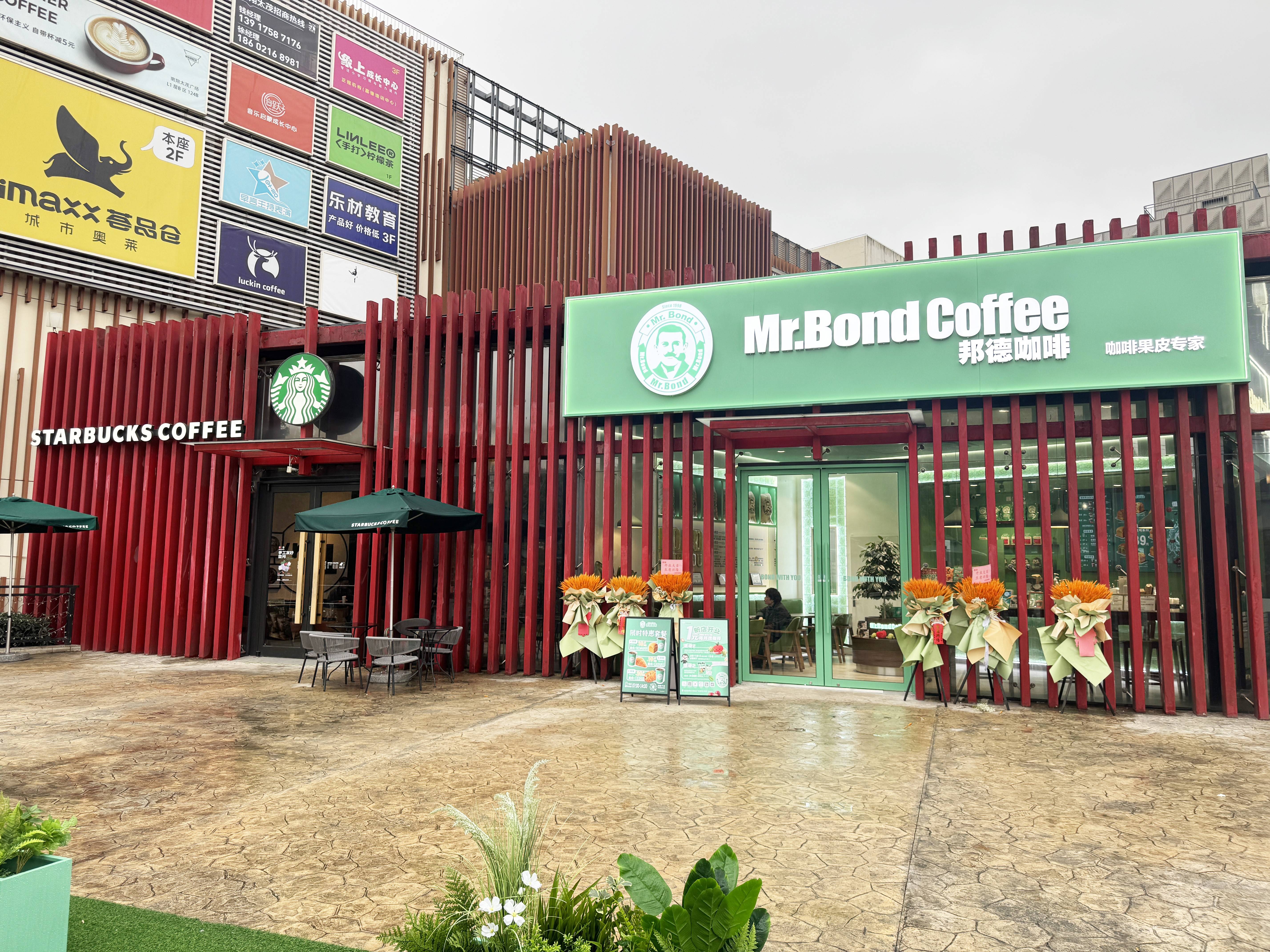 绿中国本土咖啡和国际品牌展开贴身博弈CQ9电子app当邦德绿遇见星巴克(图3)